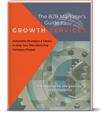 B2B_growth_services_eGuide (1)