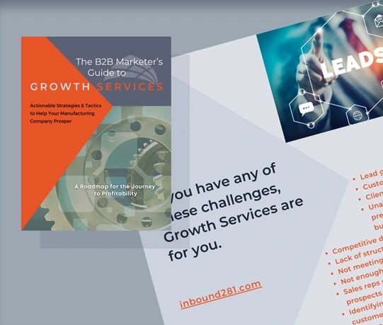 B2B Guide to Growth Services